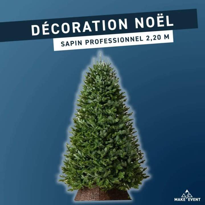 SAPIN PROFESSIONNEL